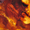 Amber